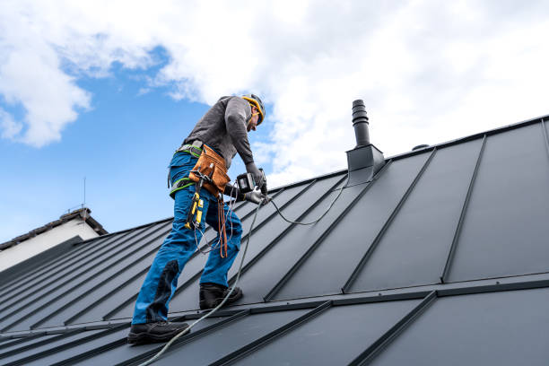 Best Roof Moss and Algae Removal  in Swartz, LA